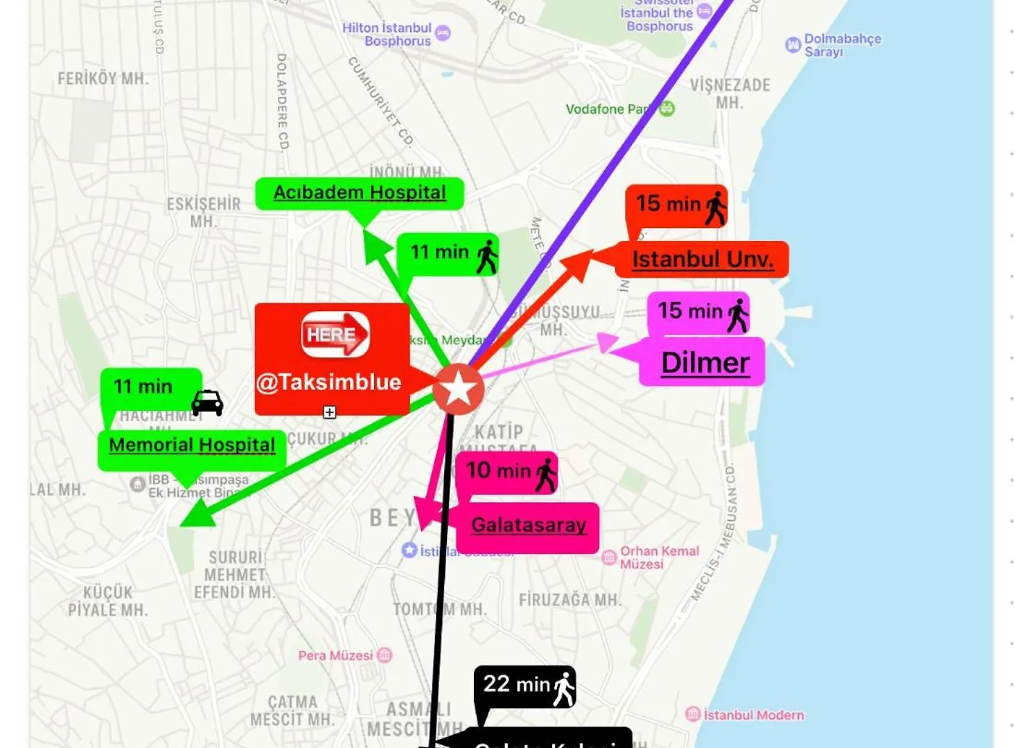 Taksim Blue Apartments イスタンブール トルコ